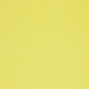 Zoom 447 Kvadrat