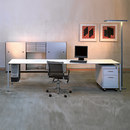 Atelier Alinea Thesis