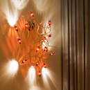 serien.lighting Poppy Lüster Wall Lampade a parete