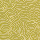 Architex International Hazel upholstery fabric Tejidos de tapicería