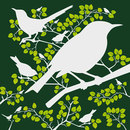 Designwall Birds Wallcoverings / Wallpaper