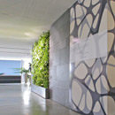 Anathome modular surface system Anathome