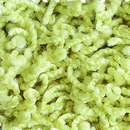 Poodle 1453 OBJECT CARPET