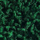 Poodle 1466 OBJECT CARPET