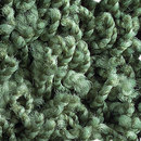 Poodle 1474 OBJECT CARPET