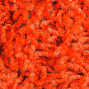 Poodle 1481 OBJECT CARPET
