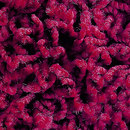Poodle 1463 OBJECT CARPET