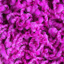 Poodle 1480 OBJECT CARPET