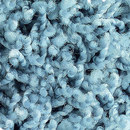 Poodle 1458 OBJECT CARPET