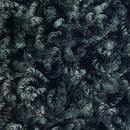 Poodle 1488 OBJECT CARPET