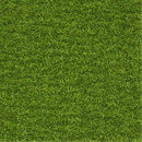 Object 704 OBJECT CARPET