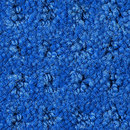 Squadra 1039 OBJECT CARPET