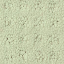 Squadra 1009 OBJECT CARPET