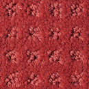 Squadra 1048 OBJECT CARPET