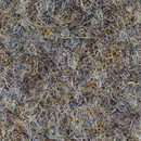 Scor 556 Object Carpet