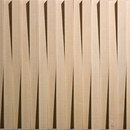 LimeStone Gallery Moon Cut 30x2 Piastrelle per pareti Pietra naturale