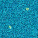 OBJECT CARPET Apriori 1220 Teppichböden / Teppiche