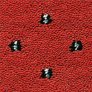 OBJECT CARPET Ascot 1227 Carpets / Rugs