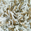 Flash 1433 OBJECT CARPET