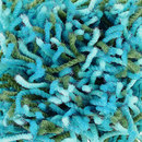 Flash 1434 OBJECT CARPET