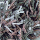 Flash 1439 OBJECT CARPET