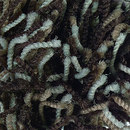 Flash 1440 OBJECT CARPET