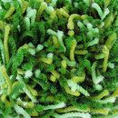 OBJECT CARPET Flash 1445 Moquette / Tappeti Sedute per esterno