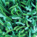 OBJECT CARPET Flash 1444 Moquette / Tappeti Sedute per esterno
