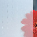 Rosso rossoacoustic®