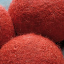 Dots Red Limited Edition