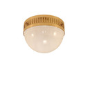 Woka WW7 ceiling lamp Ceiling-mounted lights