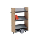 Modules / Book trolley - Mobil 4 Lustrum