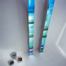Pallucco Lalinea Shelves / Shelving systems