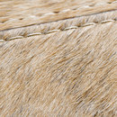 Limited Edition Pinto Sable Moquette / Tappeti