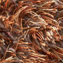 Sauvage 38044 Carpet Sign