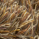 Sauvage 38049 Carpet Sign