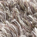 Sauvage 38051 Carpet Sign