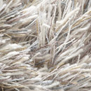Sauvage 38052 Carpet Sign