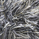 Sauvage 38053 Carpet Sign