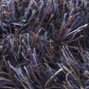 Sauvage 38055 Carpet Sign