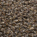 Lilain 40168 Carpet Sign