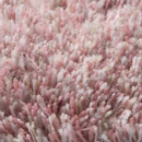 Merino 20161 Carpet Sign