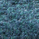 Merino 20196 Carpet Sign