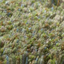 Merino 20198 Carpet Sign