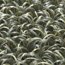 Atlantique 140280 Carpet Sign