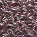 Atlantique 140340 Carpet Sign