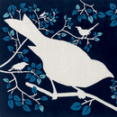 Driade Birds carpet Carpets / Rugs