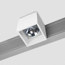 Prologe 145 on-Regule Kreon