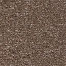 Concept 300 Carpet Concept