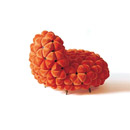 Anana Chair Aqua Creations